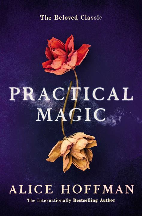 The Art of Crafting Spells: Insights from the Writer of Practical Magic